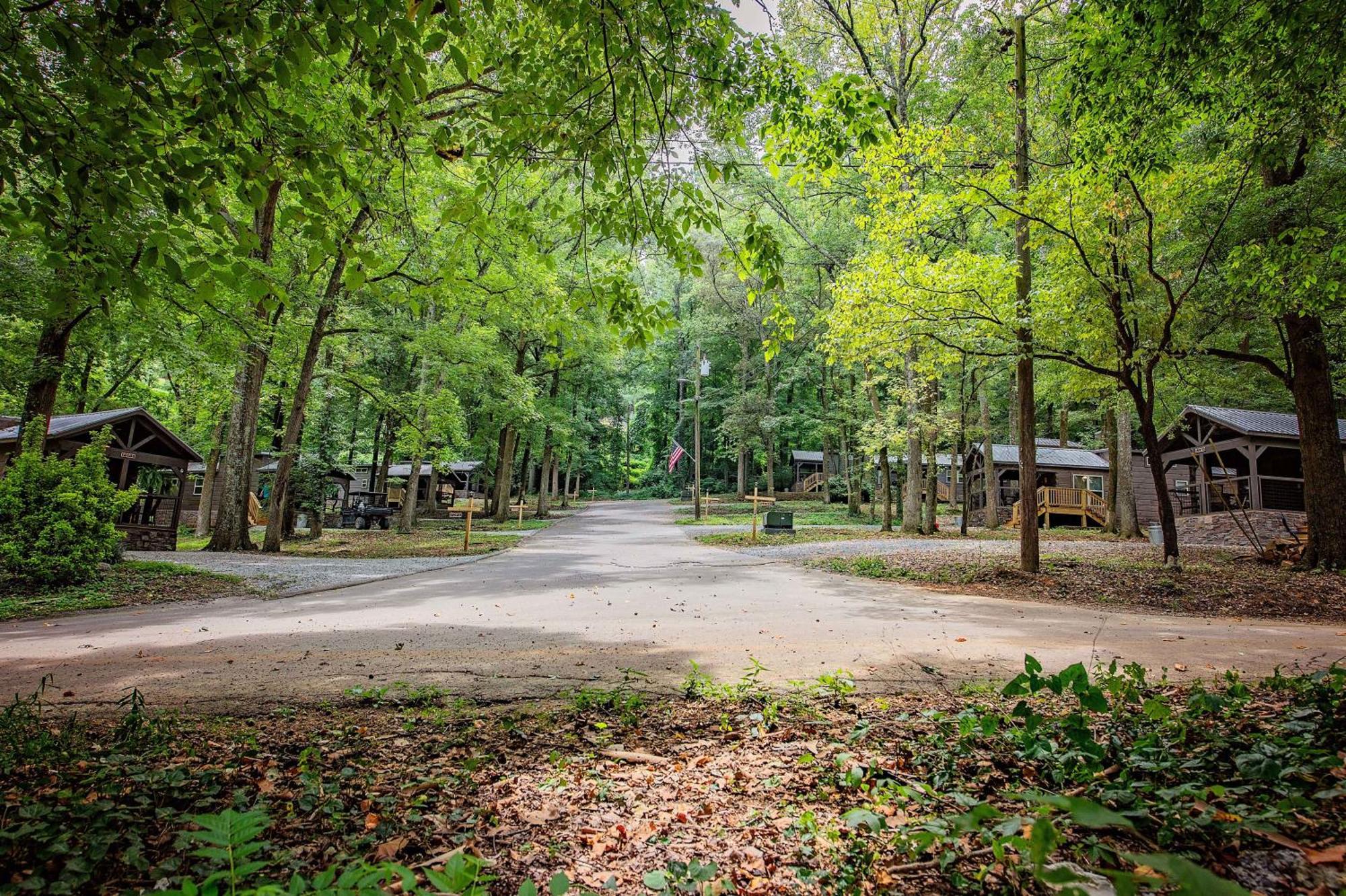 Lena Cabin Wooded Tiny Cabin - Hot Tub Chattanooga Bagian luar foto